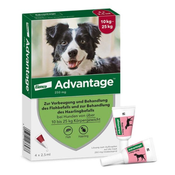 Advantage 250 für Hunde Lösung